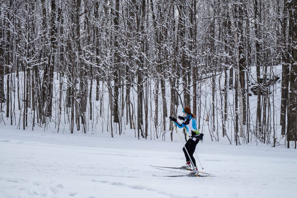 Cross country skiier