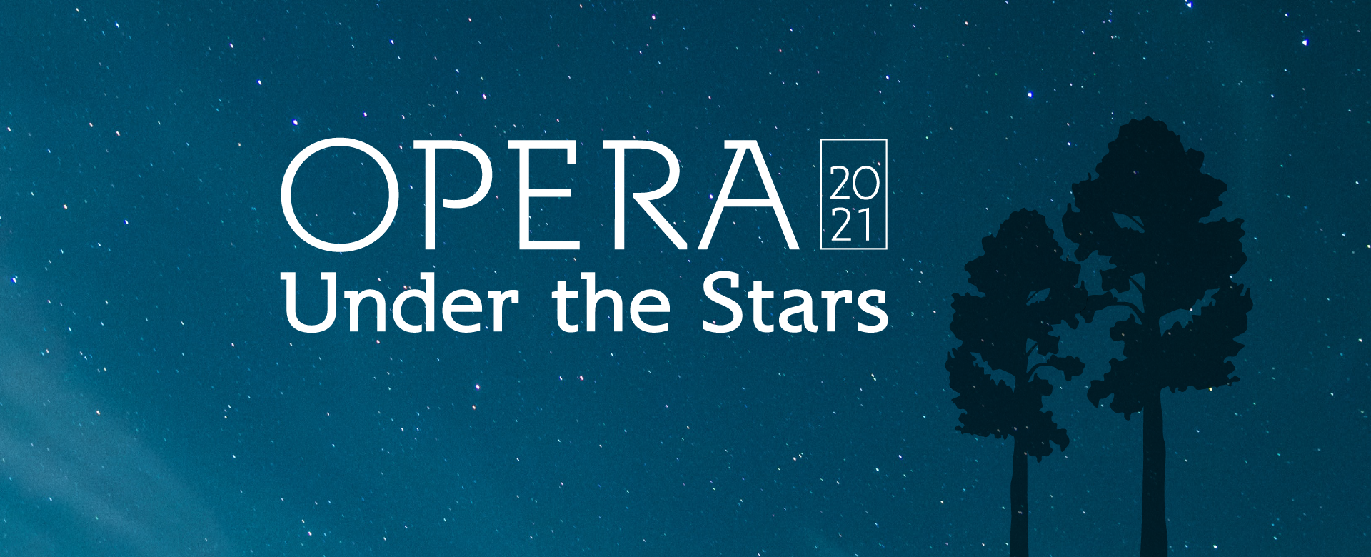 Opera Under the Stars banner