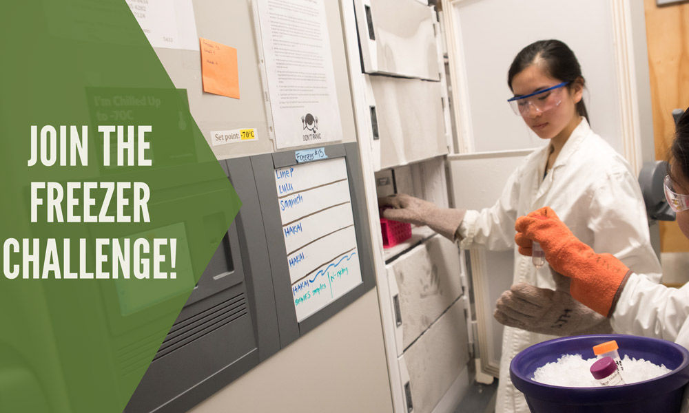 One woman hands a beaker to another women in a laboratory