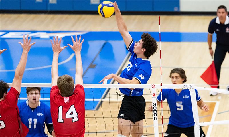 Men's volleyball game